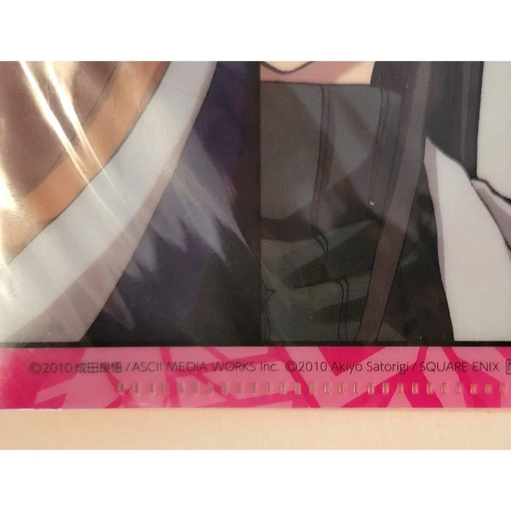 Durarara!! 2010 Akiyo Satorigi Clear File Square Enix 10
